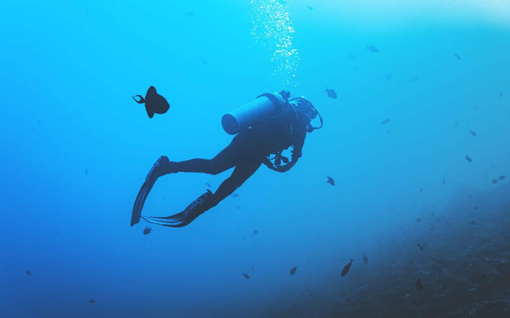 Is Scuba Diving Dangerous Things To Avoid After Diving