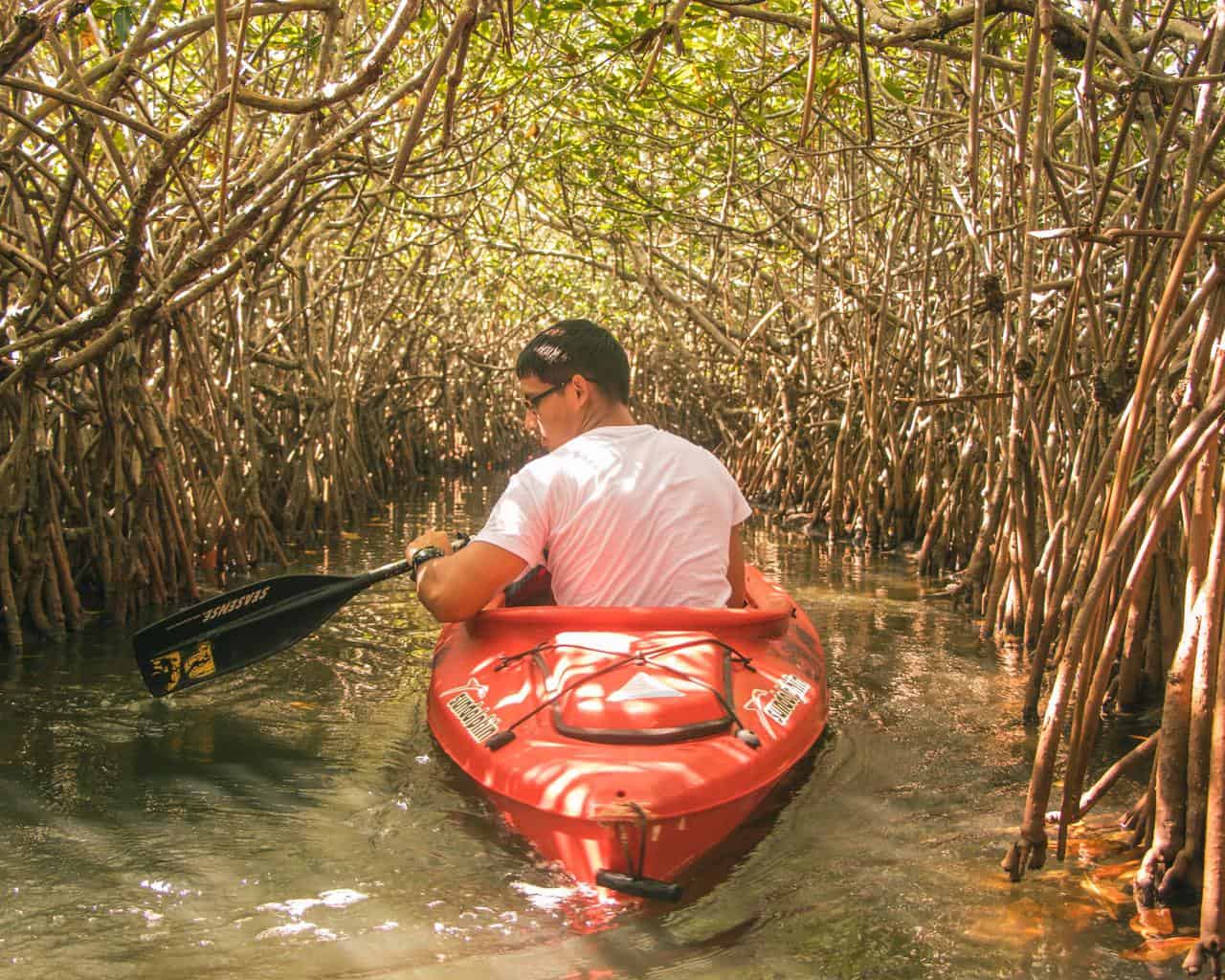 Is Kayaking in the Everglades Safe? (+Essential Safety Tips)