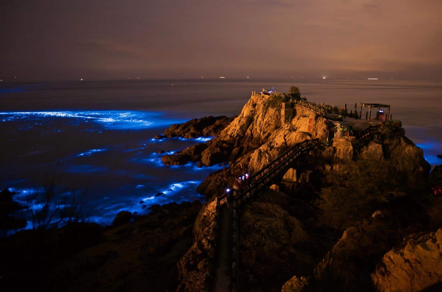 bioluminescent kayaking