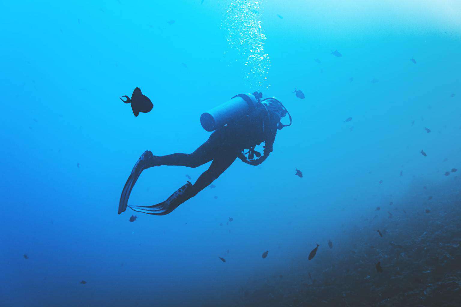 Is Scuba Diving Dangerous? (+6 Things to Avoid After Diving)