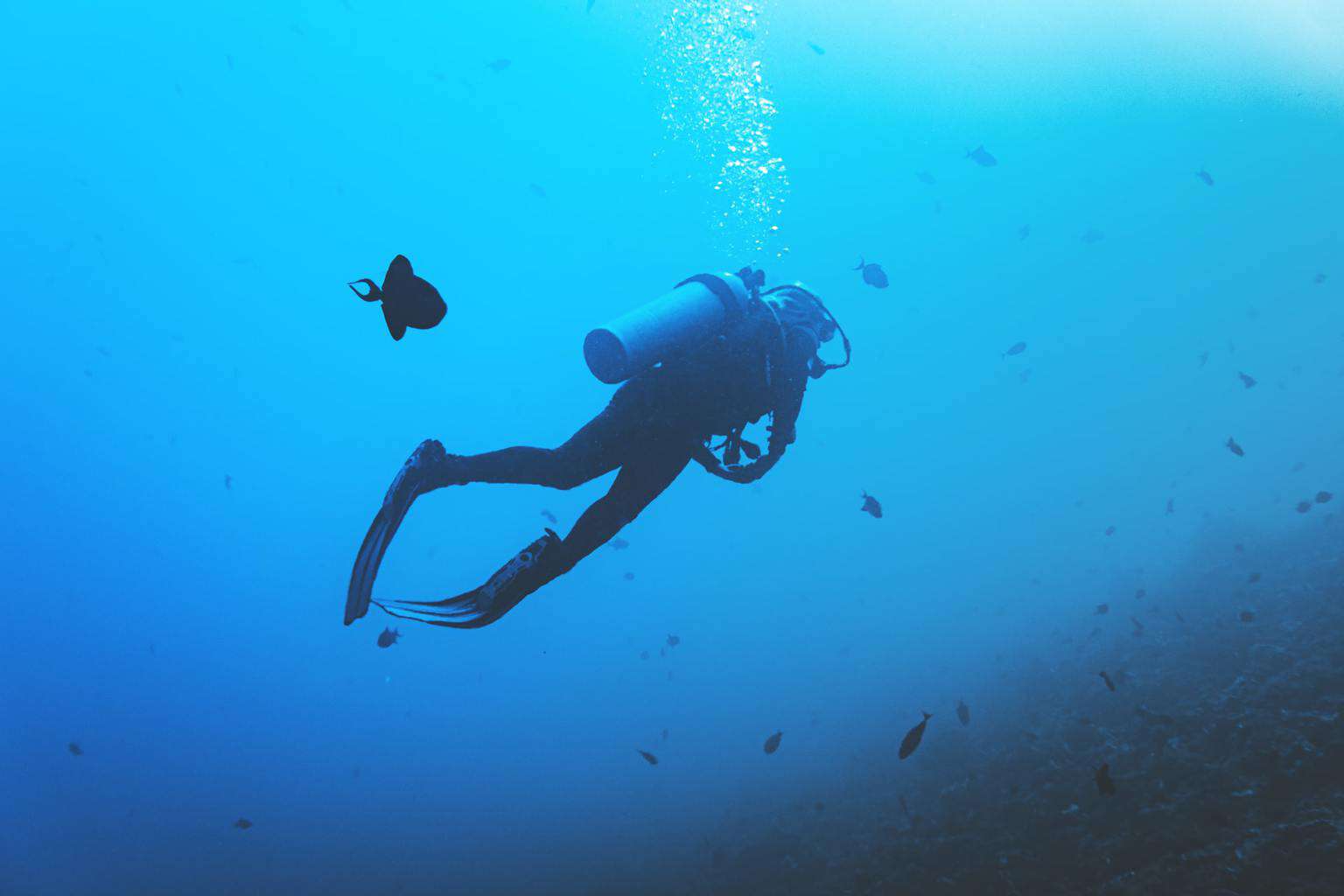 is scuba diving dangerous