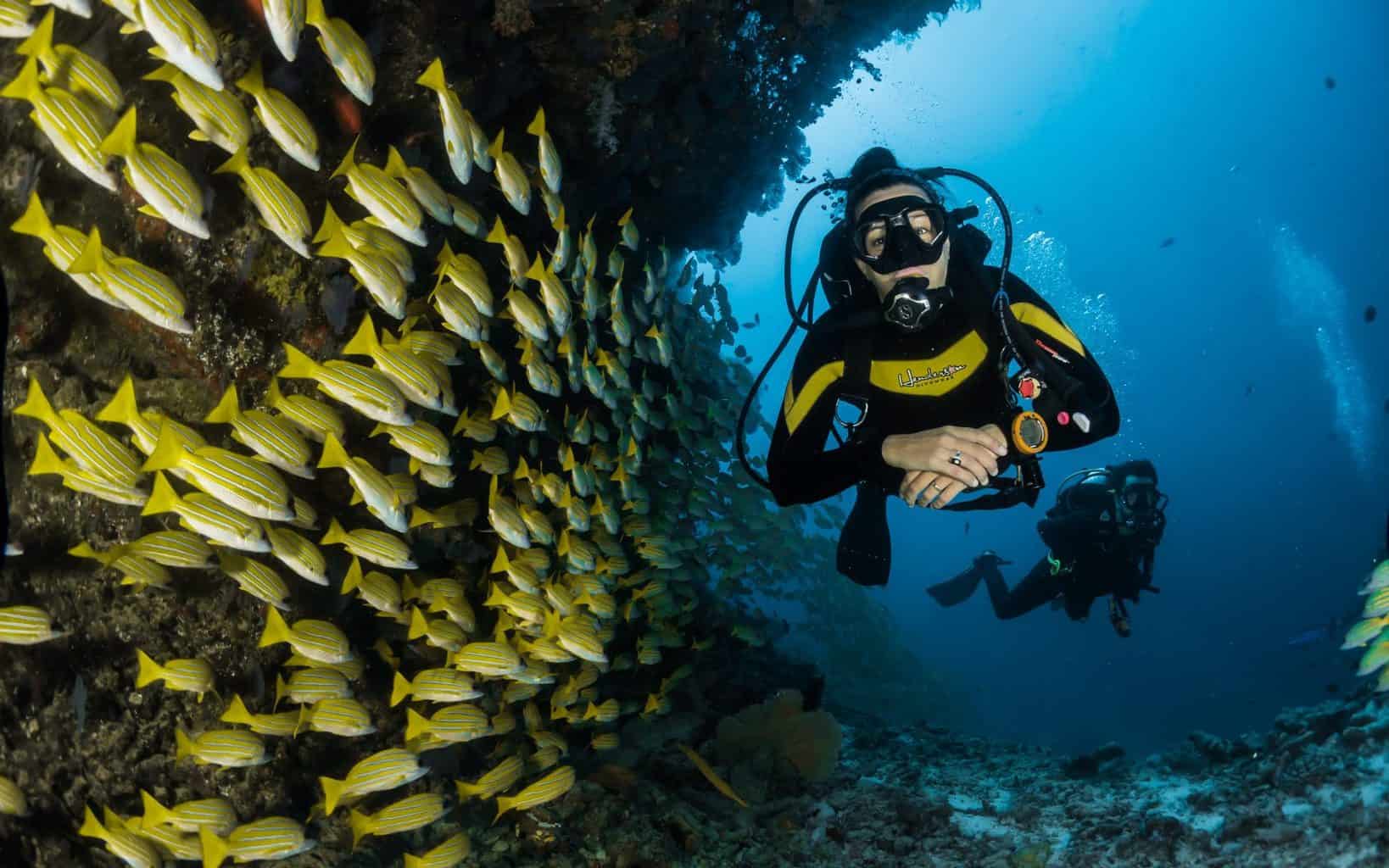 Is Scuba Diving Dangerous? (+ 6 Things to Avoid After Diving)