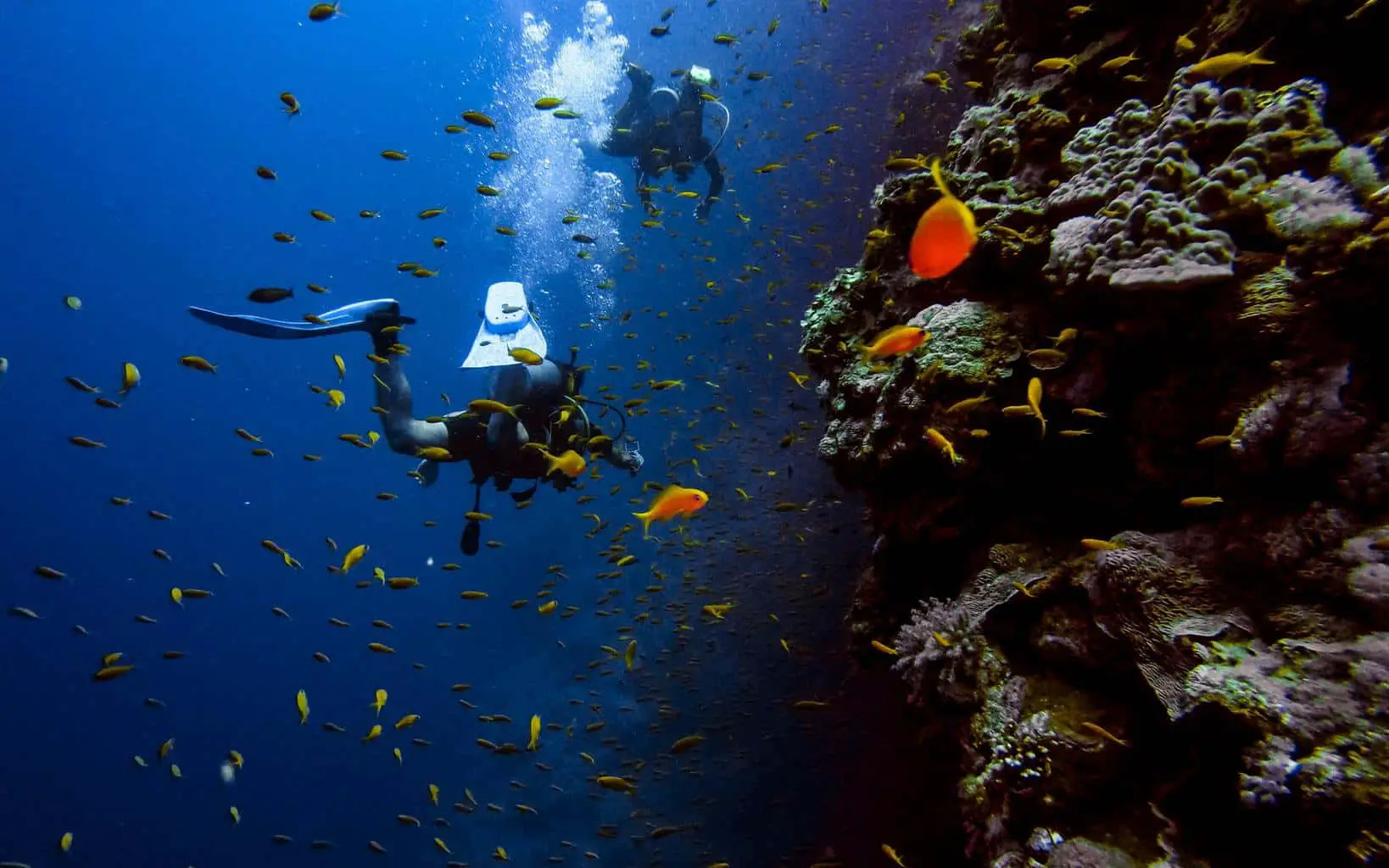 Is Scuba Diving Hard? (+7 Tips to Make It Easier to Learn)