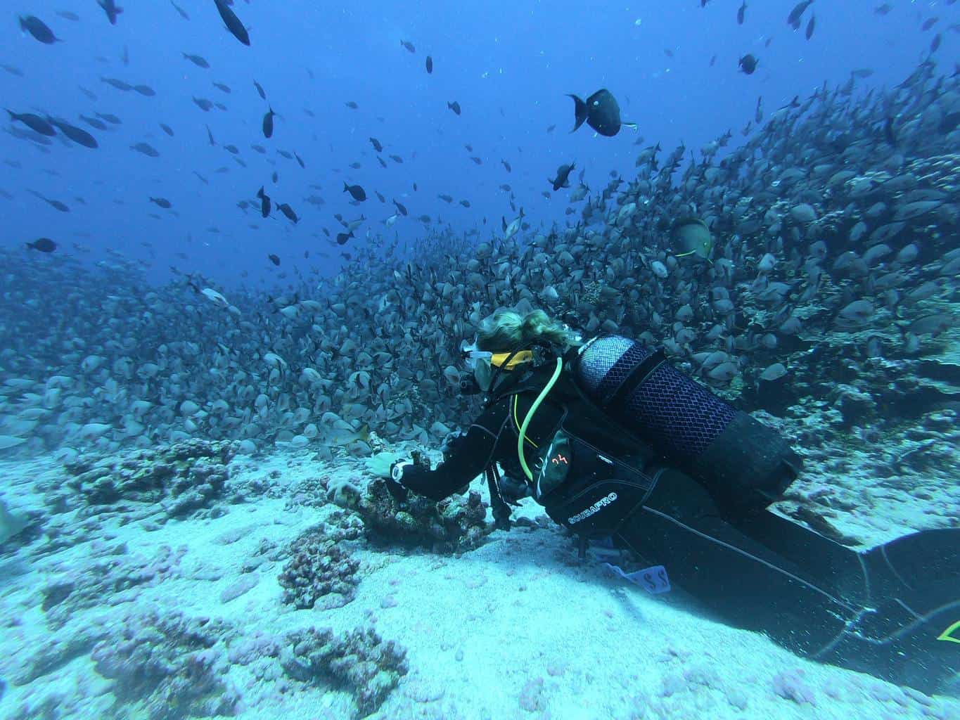 10 Things Not to Do When Scuba Diving (Every Diver Should Know)