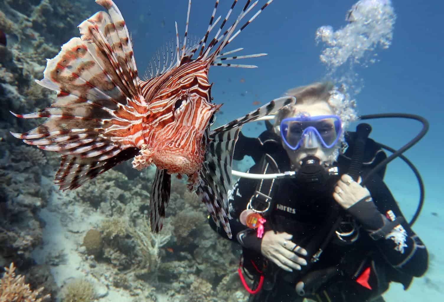 How is Scuba Diving in Key West