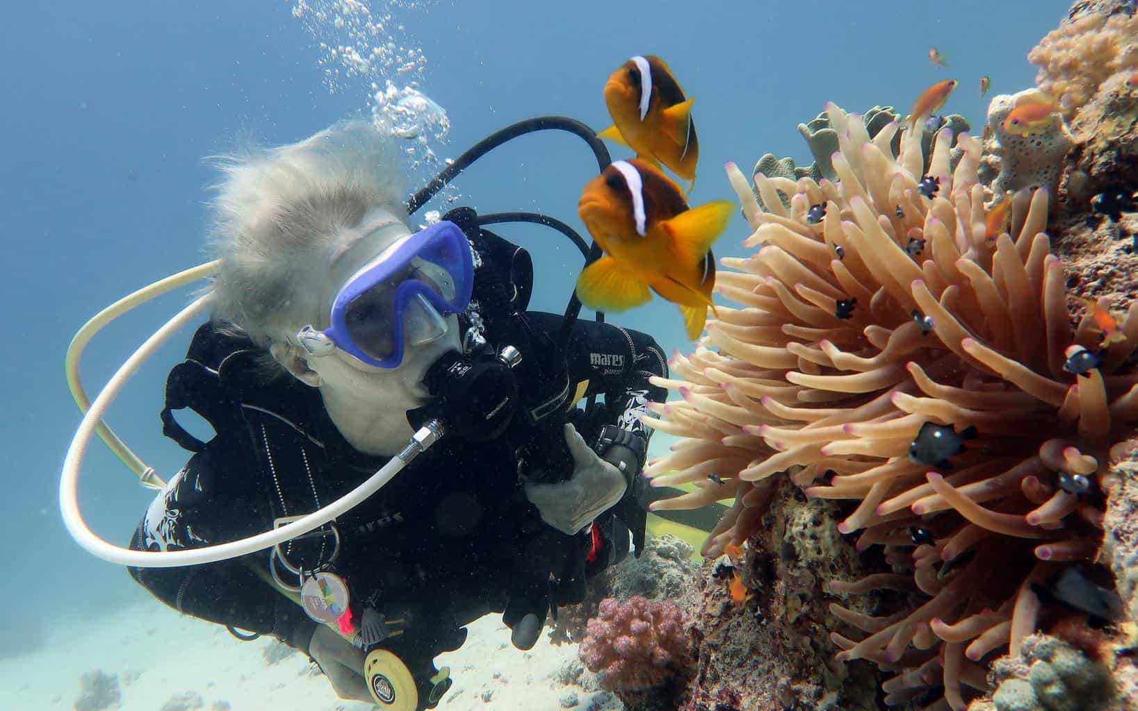 Can Scuba Diving Cause Spider Veins? (& Why It Can Be Beneficial)