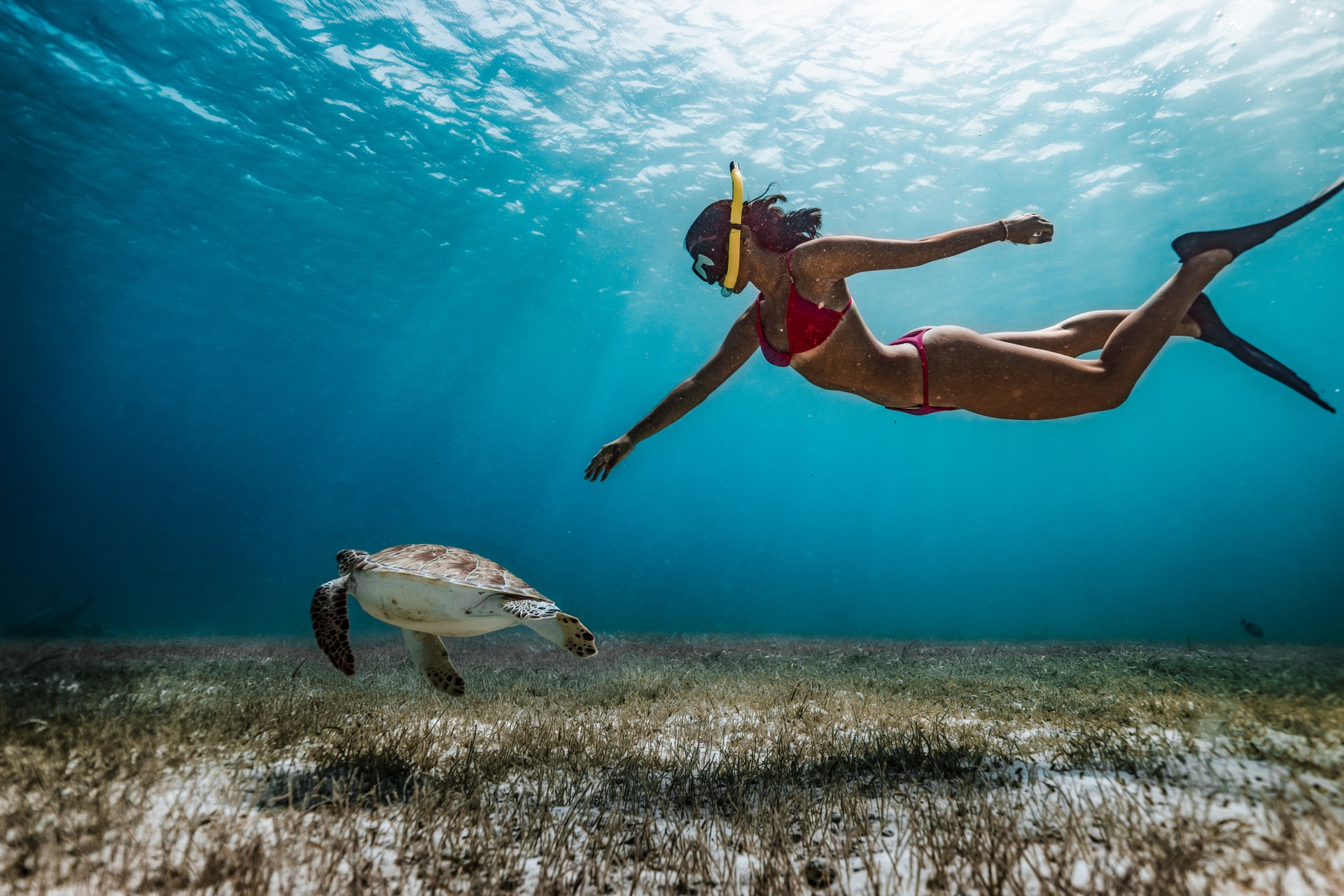 Is Snorkeling an Extreme Sport? (+9 Types You’ve Never Heard Of)