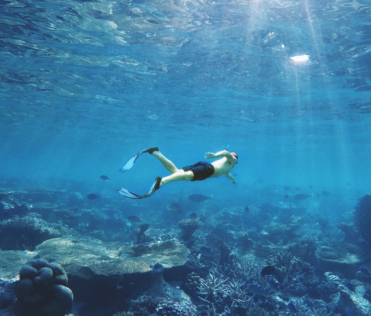 Is Snorkeling Better in Maui or Kauai