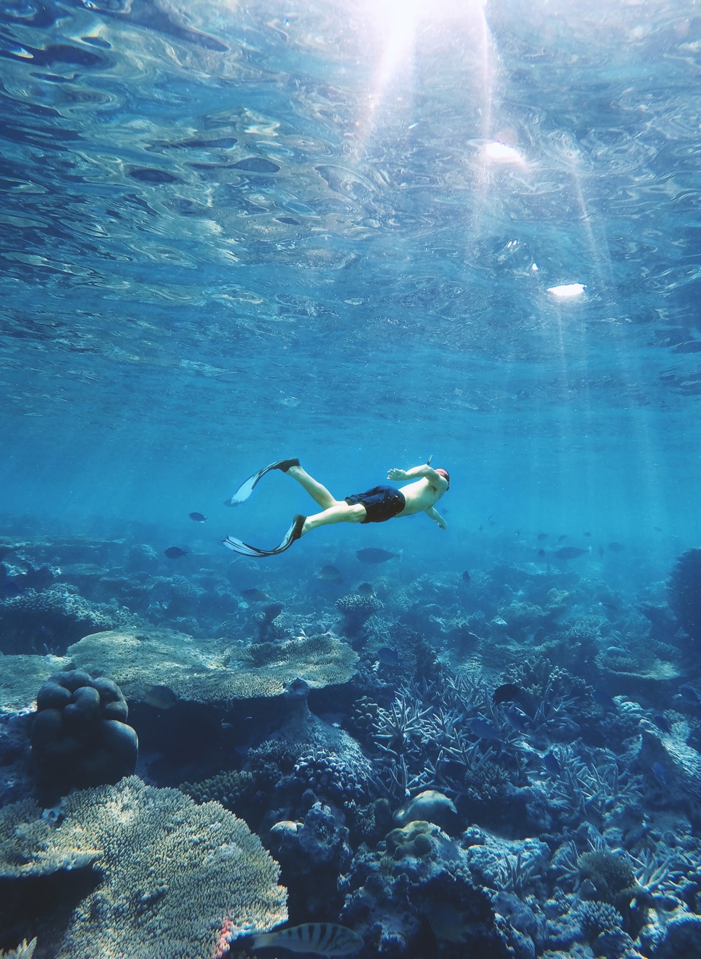 Is Snorkeling Better in Maui or Kauai