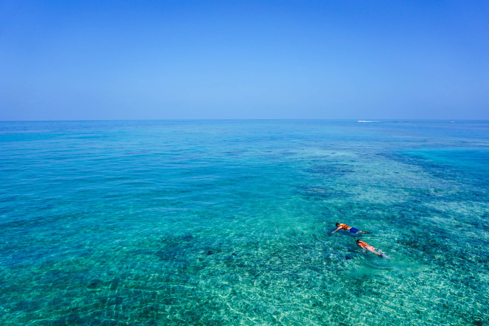 Is Snorkeling the Great Barrier Reef Safe? (+9 Safety Tips)