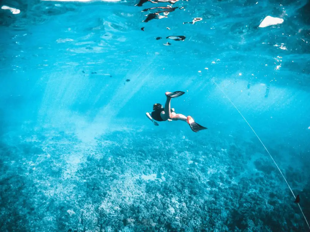 What Does Snorkeling Feel Like