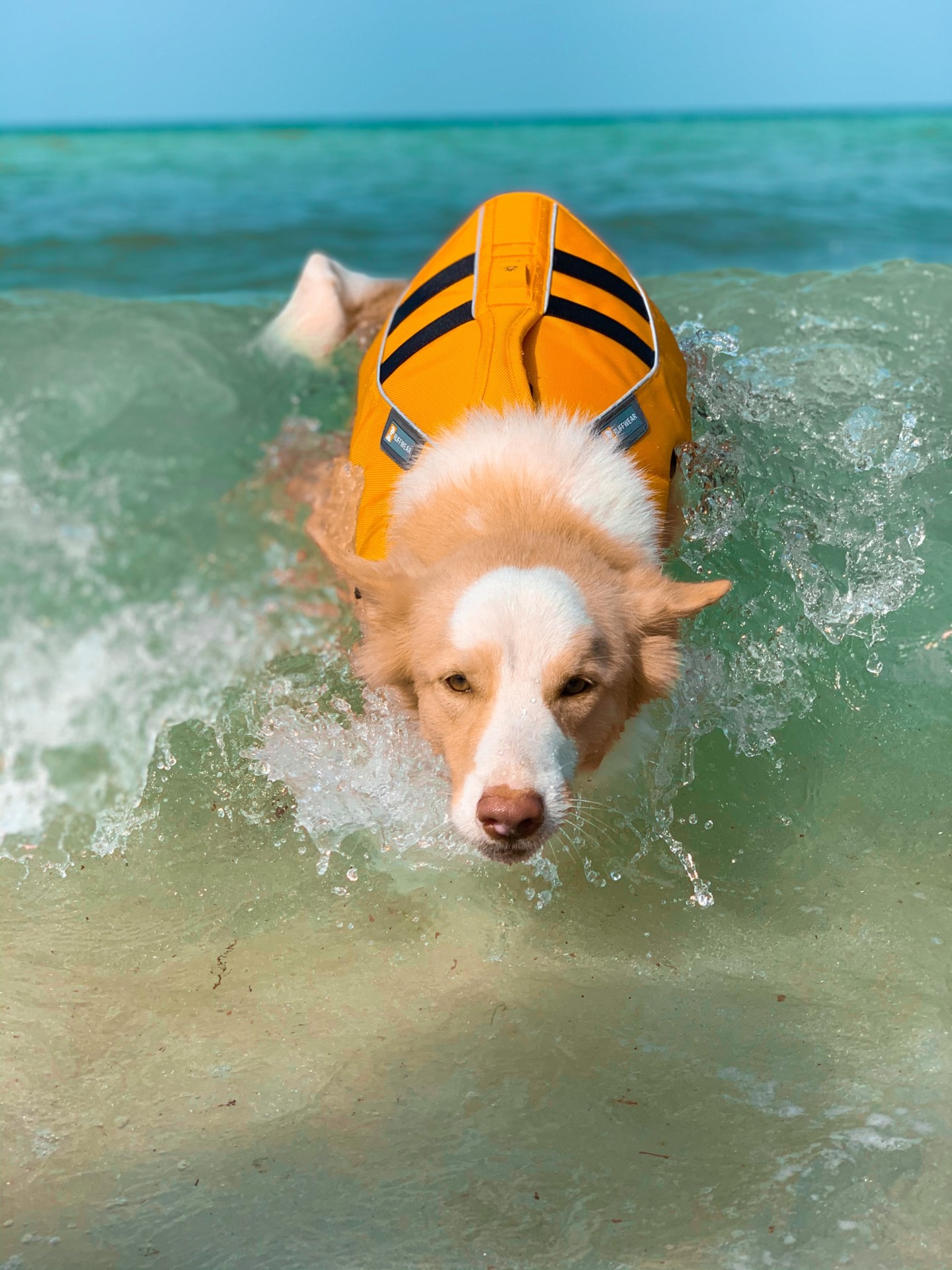 Do Surfers Wear Life Jackets