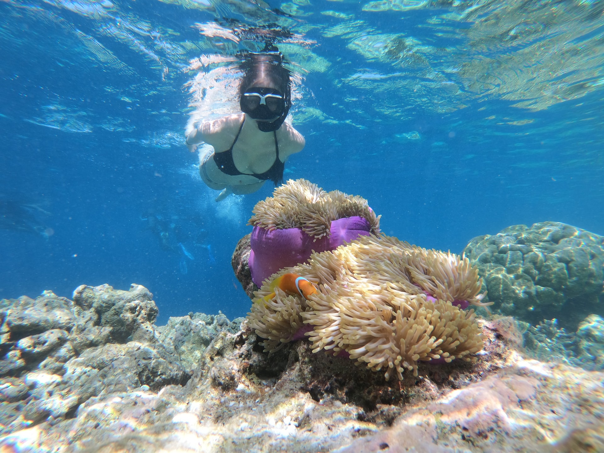 Can You Drown Snorkeling? 11 Common Reasons (+Helpful Tips)