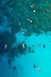 What Colors to Avoid When Snorkeling