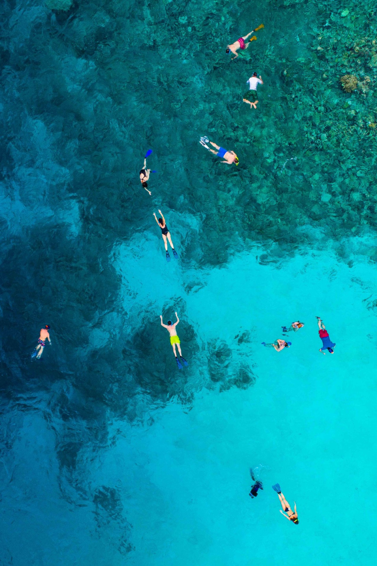 What Colors to Avoid When Snorkeling